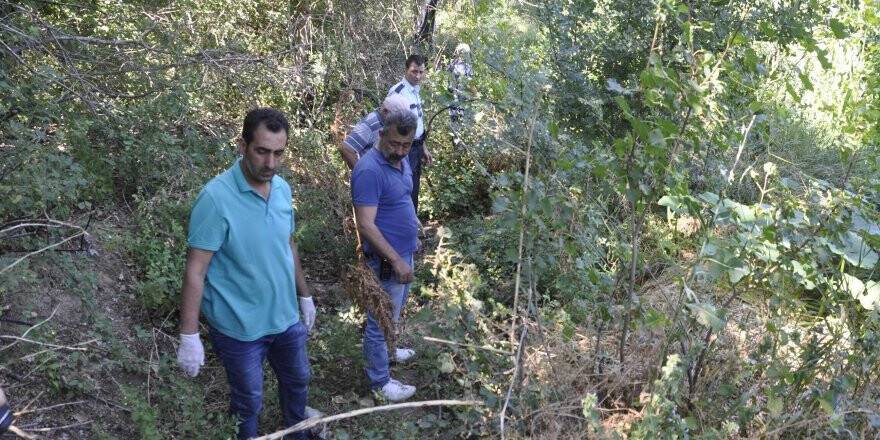 Damlama sulama sistemi kurup Hint keneviri ekmiş