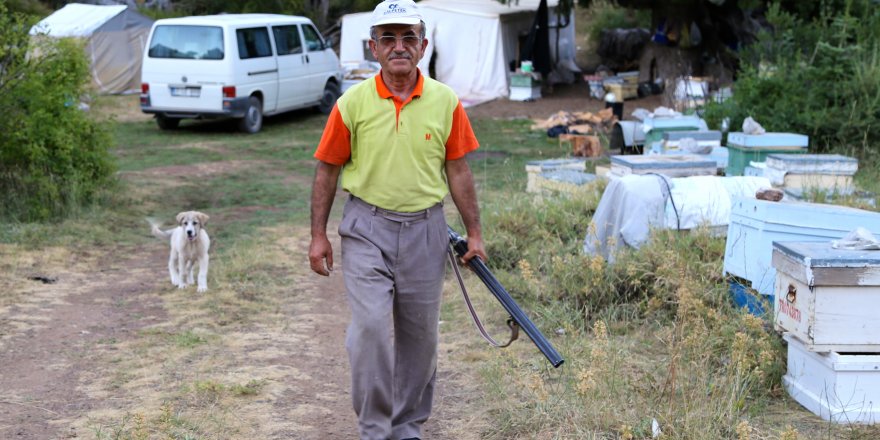 Bal Üreticisinin Tam Zamanlı "Ayı Nöbeti"