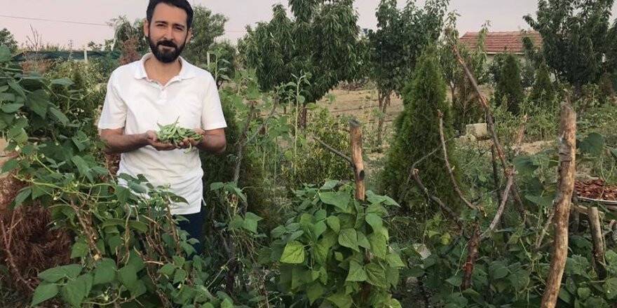Mustafa Uzbaş'tan organik sebzeler