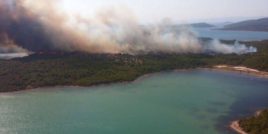 Ayvalık'ta Orman Yangını