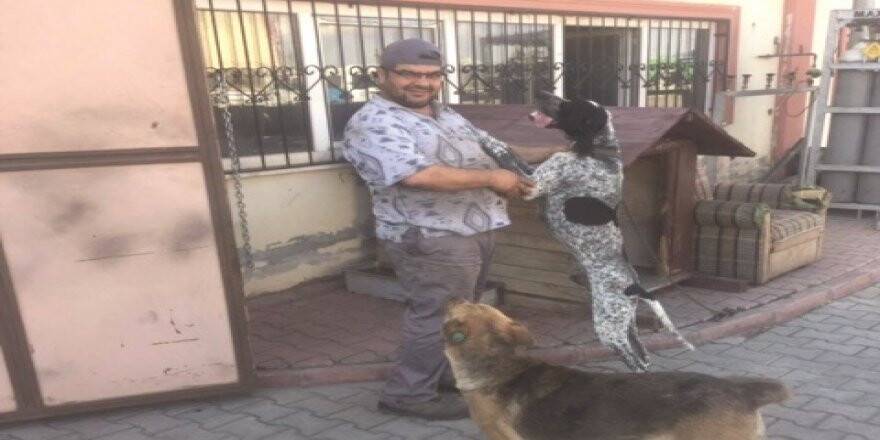 SELİM SELVİ’NİN HAYVAN SEVGİSİ