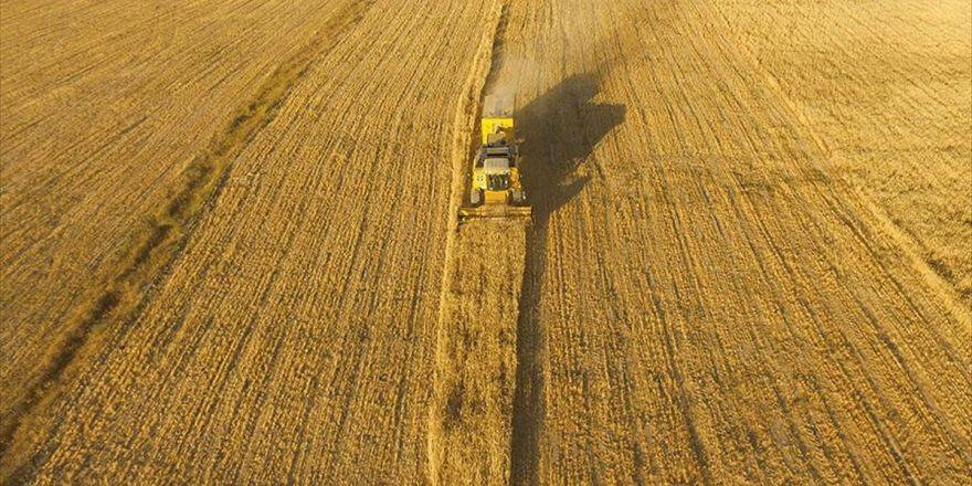 Ağbal’dan 2b Ve Tarım Arazileri İçin 7 Eylül Uyarısı