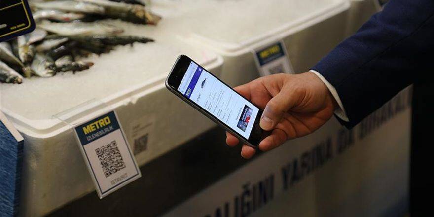 Metro 572 Kooperatifle Balıkları İzliyor