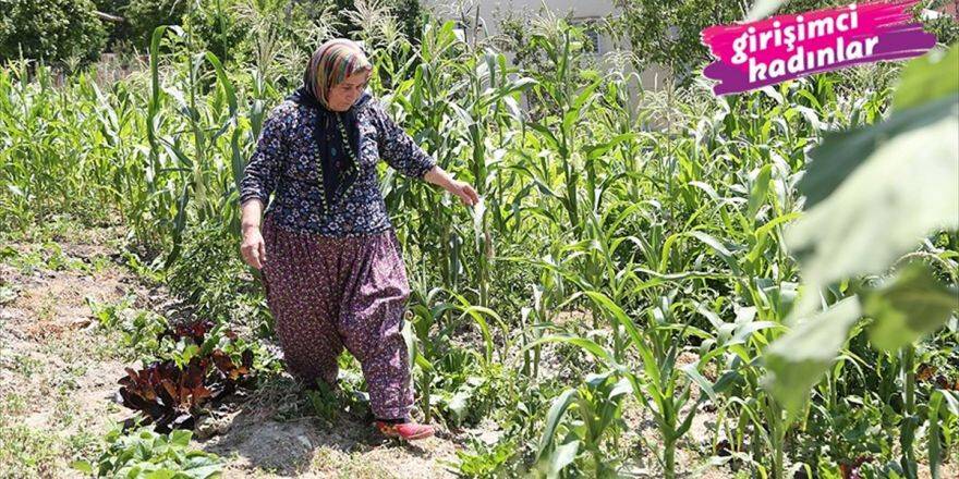Köy Yaşamından Dünyaya Açıldı