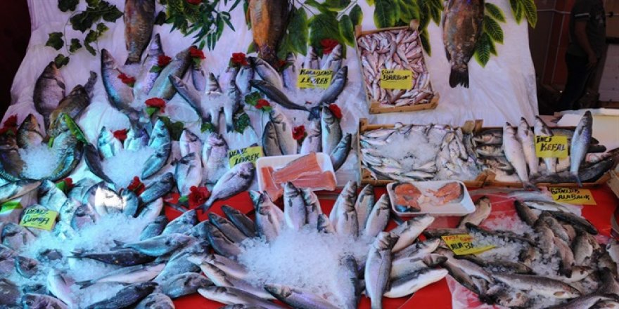 Av Yasağı Sona Erdi Balık Fiyatları Düştü