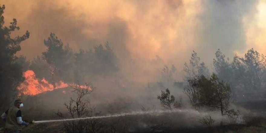 Bolu'daki Orman Yangını