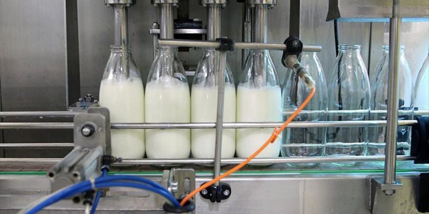 Konya İnek Sütü Üretiminde Liderliğini Sürdürdü
