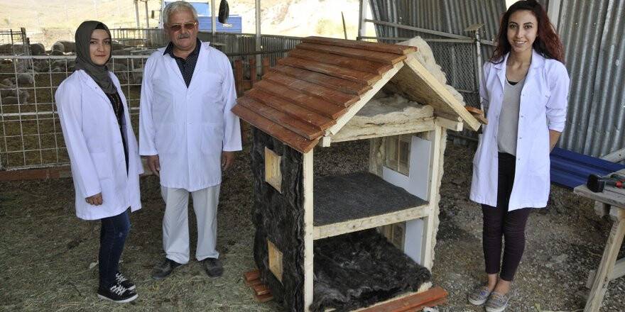 Bina Yalıtımlarında Alternatif Ürün: Koyun Yünü