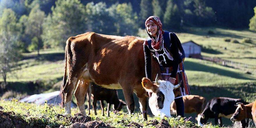 Türkiye'nin 'Heidi'sinin Hayali Veteriner Olmak