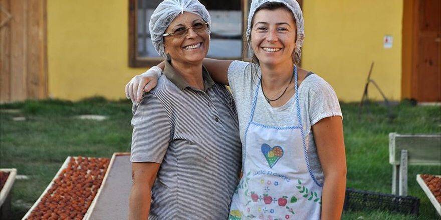 Endüstri Mühendisliği Yerine Marmelat Yapmayı Tercih Etti