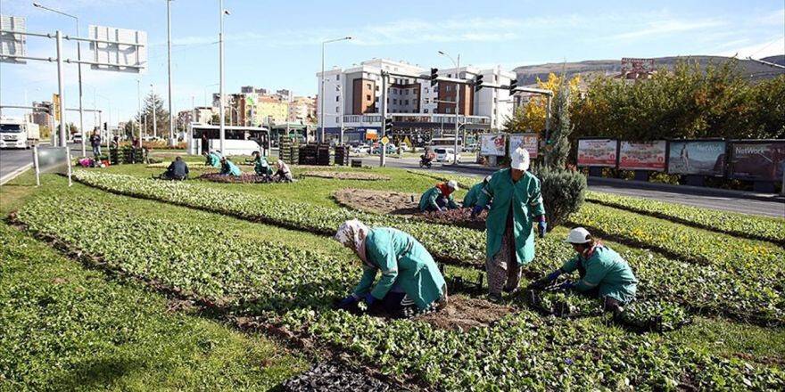 Şehrin Yeşiline 'Kadın Eli' Değdi