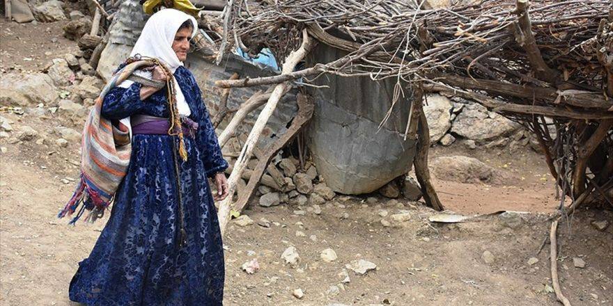 Yaşlı Kadın Çocuklarının Rızkını 'Doğadan' Çıkarıyor
