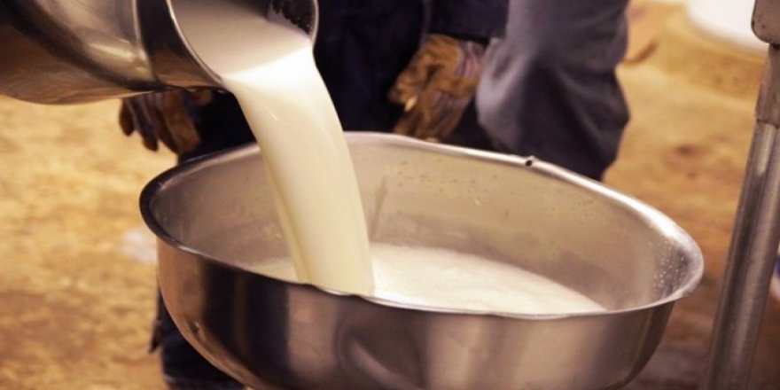 Çiğ Süt Fiyatları Üreticiyi Sevindirdi