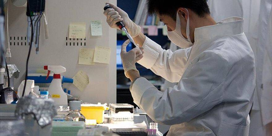 Hematoloji Ve Onkoloji Tanısında 'Yapay Zeka' Rol Oynayacak