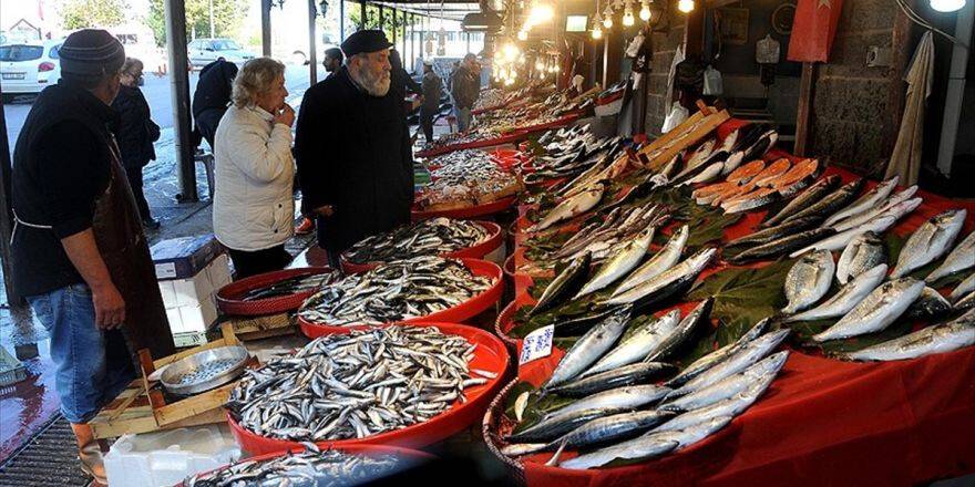 Balıkçılar Palamut Ve Hamside Umduğunu Bulamadı