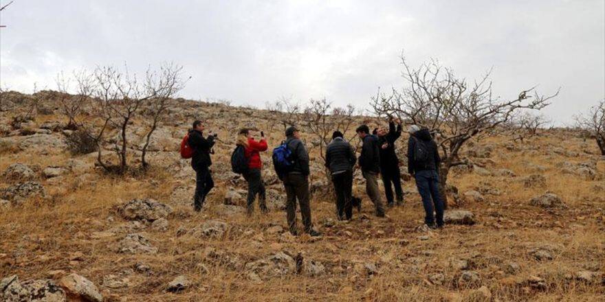 Türkiye'nin Bozkırları Korumaya Alınıyor