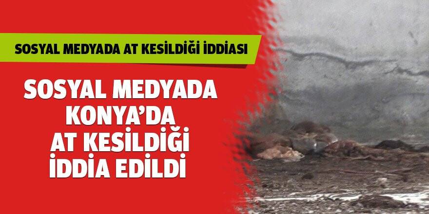 Sosyal Medyadan Konya’da at kesildiği iddia edildi
