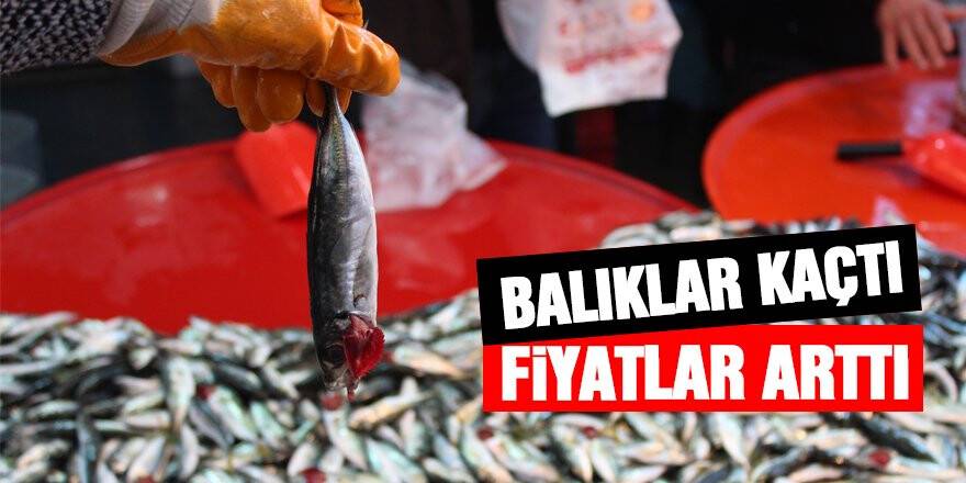 Balıklar kaçtı, fiyatlar arttı