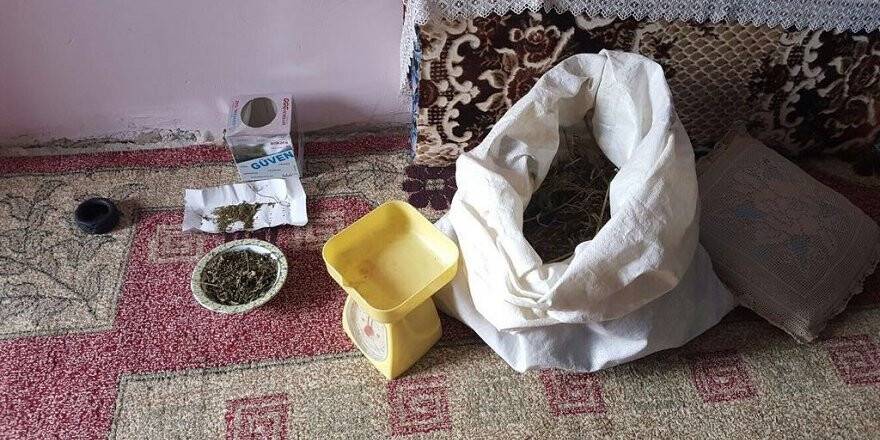 Polis tezek ve saman arasında uyuşturucu aradı