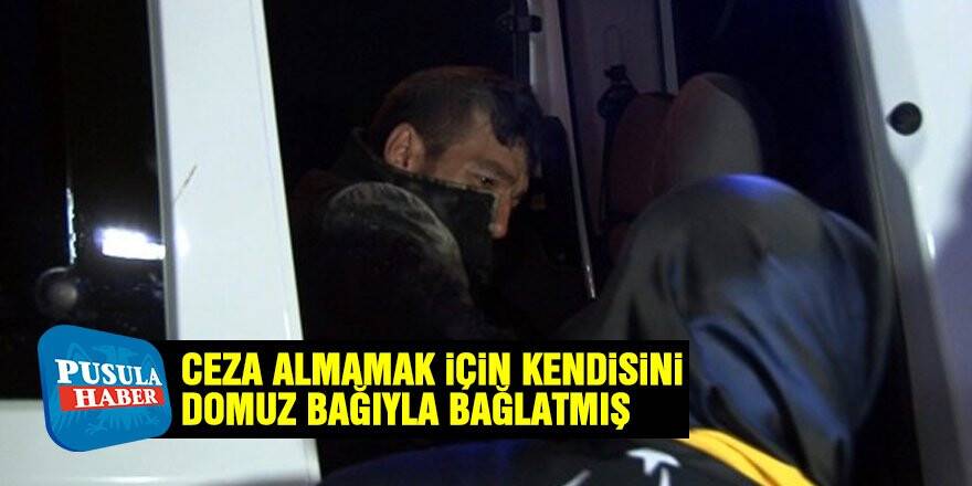 Kendisini Domuz Bağıyla Bağlatmış