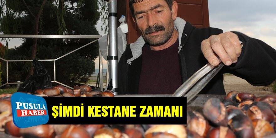 Şimdi kestane zamanı