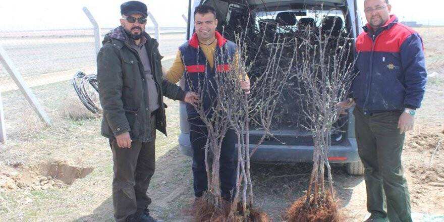 Gazeteci Mithat’ın çevre duyarlılığı
