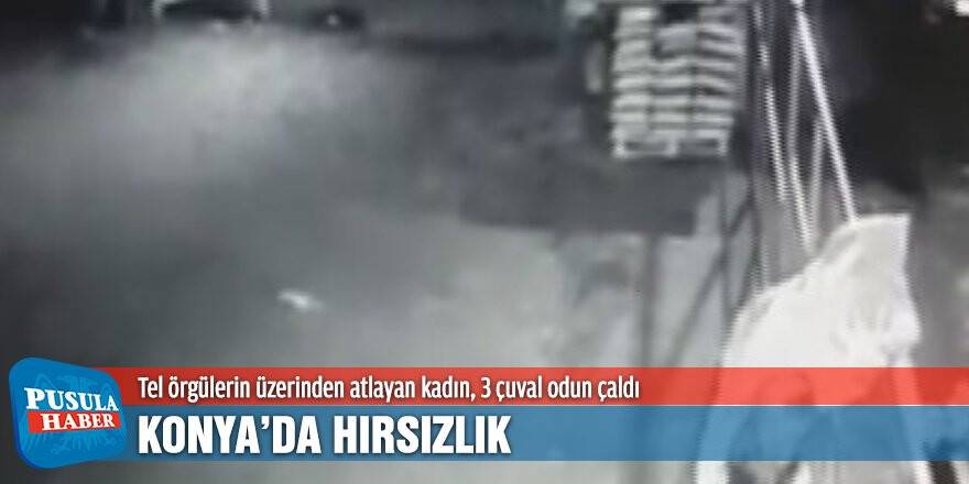 Tel örgülerin üzerinden atlayan kadın, 3 çuval odun çaldı