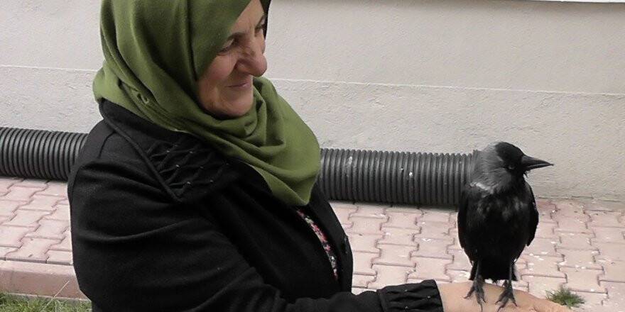 Yavruyken balkonuna düşen kargaya çocuğu gibi bakıyor