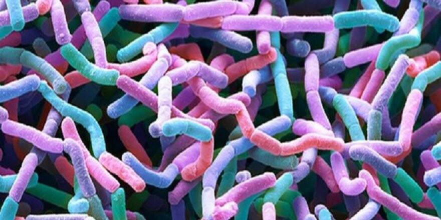 Toprakta yeni bir antibiyotik familyası keşfedildi