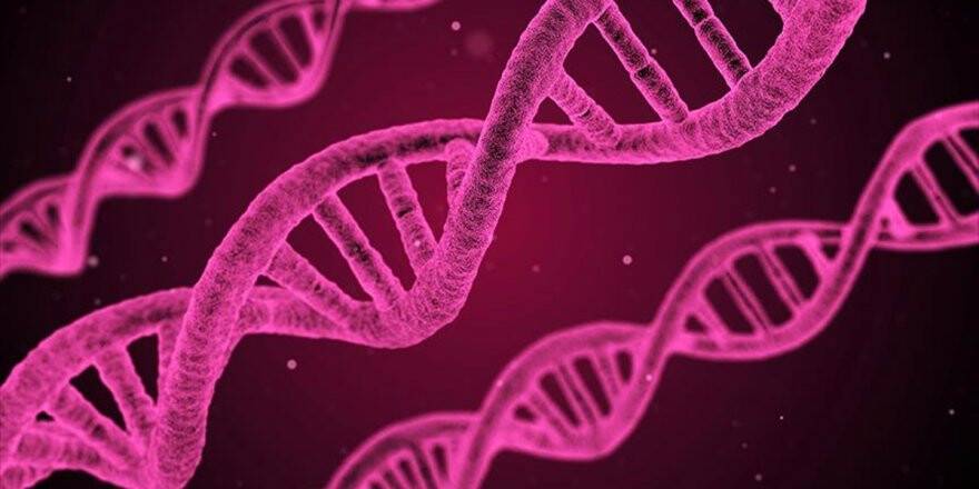 Kanser Tedavisinde Dna Nanorobotları Devrede