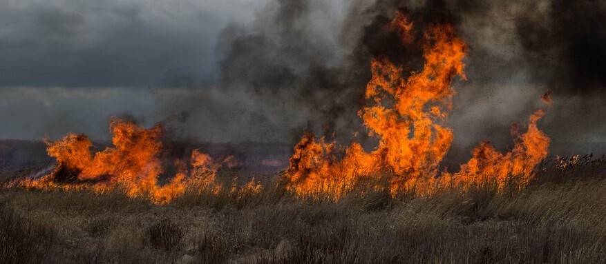 Beyşehir’de sazlık yangını