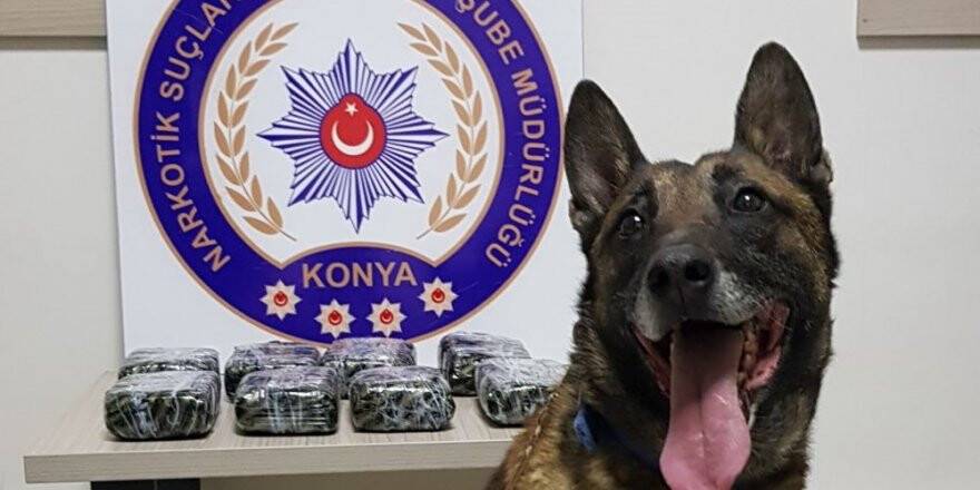 Konya'da Uyuşturucu Operasyonu