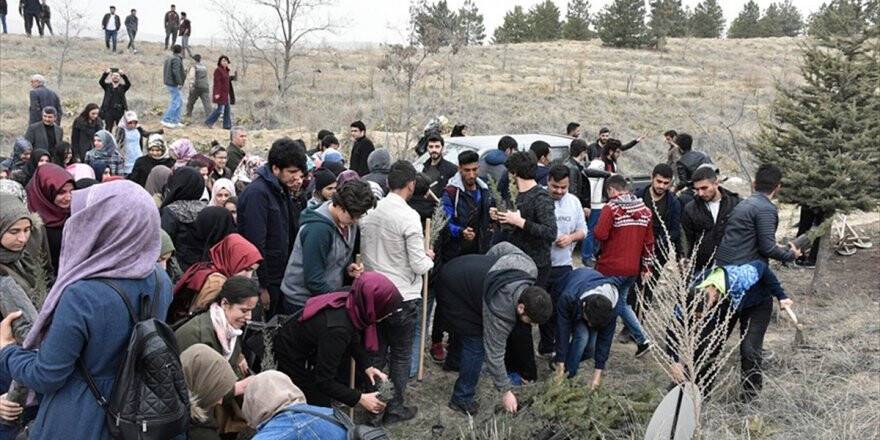 Elazığ'da Afrin Şehitleri İçin Fidan Dikildi