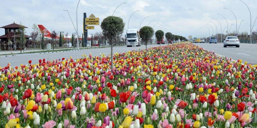 Konya’da “Lale Mevsimi” başladı 