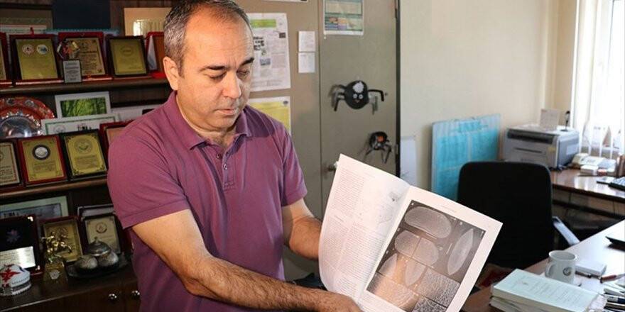 Türk Profesör, Teksas'ta Yeni Ostrakod Türleri Keşfetti