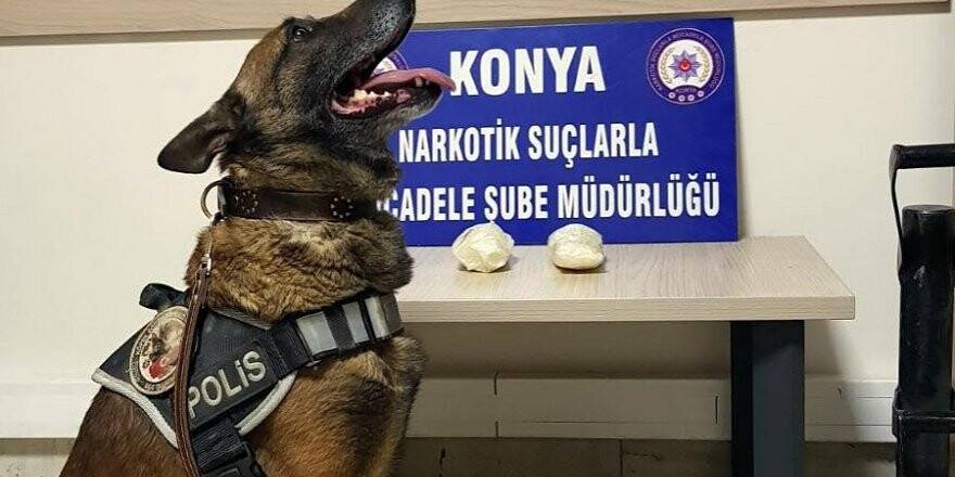 Narkotik köpeği Oscar, otobüste uyuşturucu madde buldu
