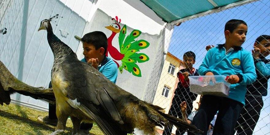 Tarım Ve Hayvanlarla İçe İçe Eğitim