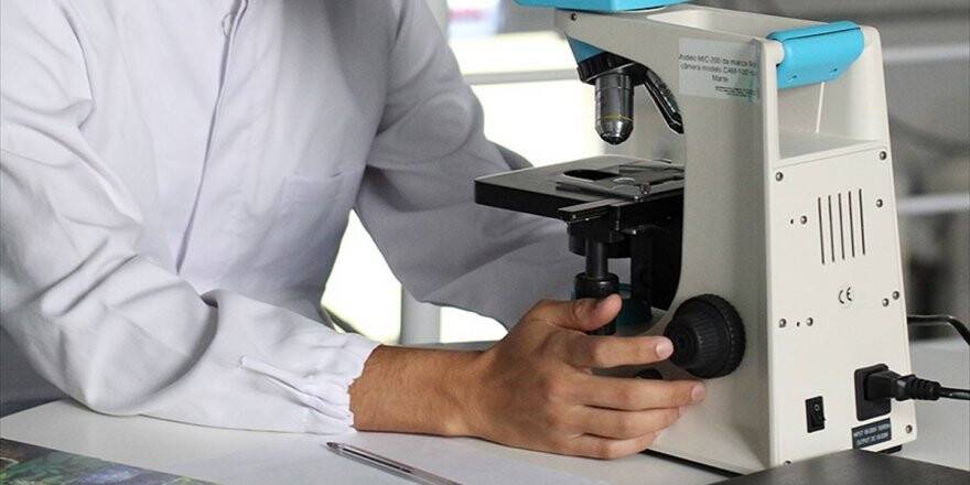 Hafıza Transferi Yapıldı