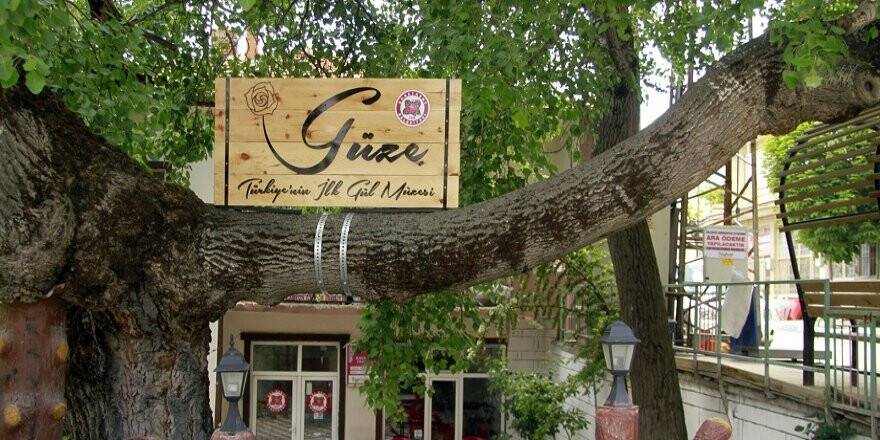 Türkiye’nin ilk gül müzesi: Güze