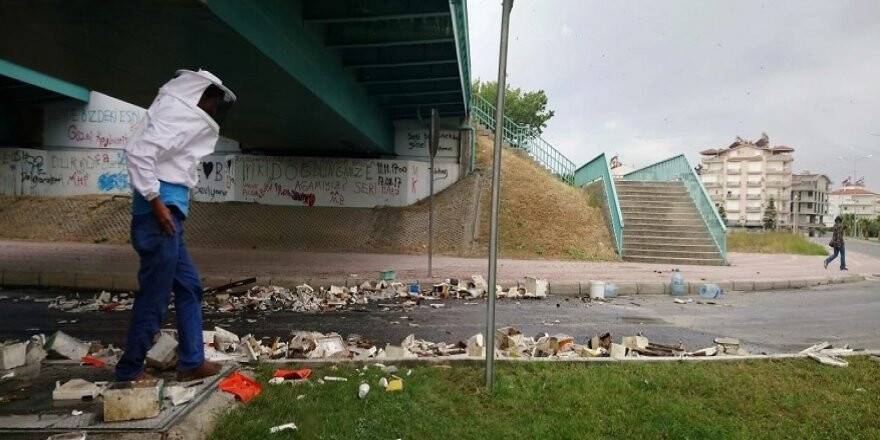 Antalya'da arı kovanı yüklü tır köprüye çarptı, arılar karayolunu istila etti