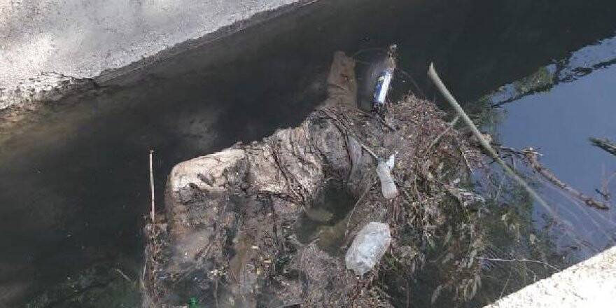 Konya'da başı ve kolu kesik kadın cesedi bulundu