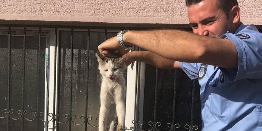 Pencerede sıkışan kediyi zabıta kurtardı