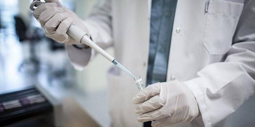 Türk Doktorların Bilimsel Çalışmasına Abd'den Ödül
