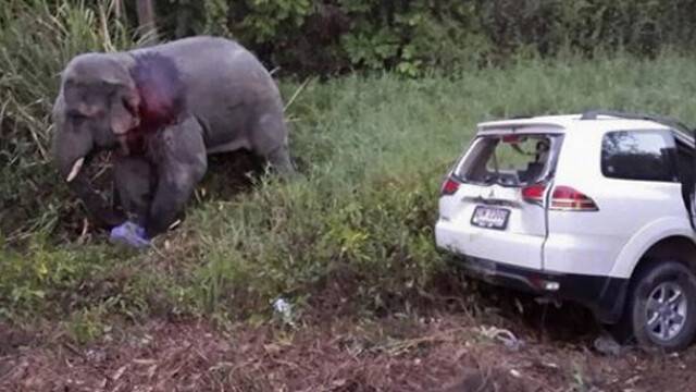 Otobüs File Çarptı: 6 Ölü, 4 Yaralı