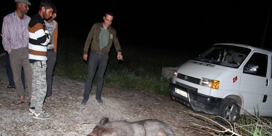 Konya'da yaban domuzu kazaya sebep oldu: 5 yaralı