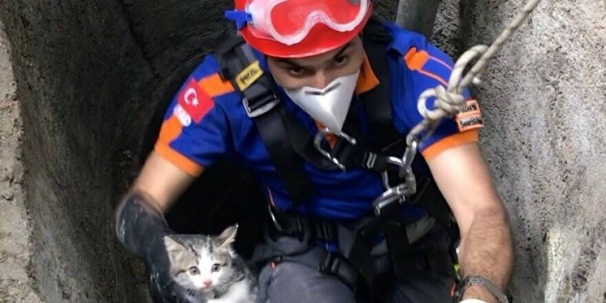 Su Kuyusuna Düşen Yavru Kedi Kurtarıldı