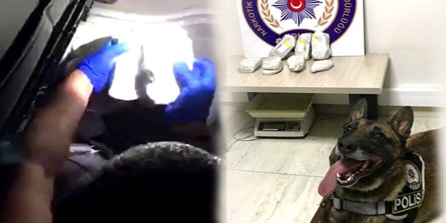 Narkotik köpeği tepki verdi, zulalardan esrar çıktı
