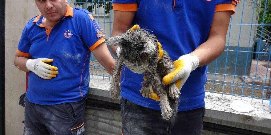 Kablo Borusunda Sıkışan Kedi Kurtarıldı