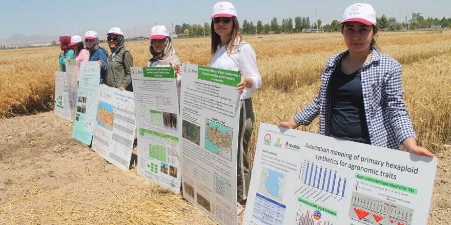 TARIM SEKTÖRÜ TARLA GÜNÜNDE