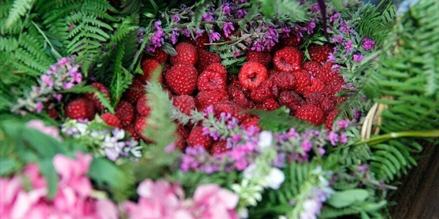Bursa'da Cumalıkızık Ahududu Festivali Devam Ediyor